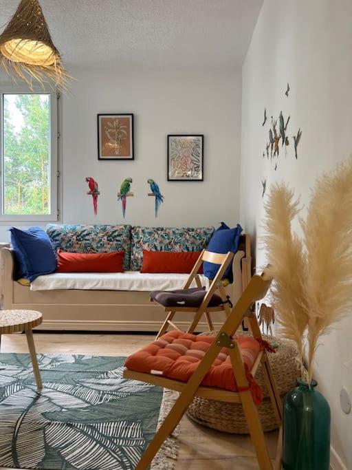 Appartement Balinais Lumineux Et Calme 아비뇽 외부 사진